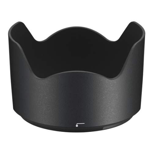 Nikon AF-S FX NIKKOR 24-70mm f/2.8E ED Vibration Reduction Zoom Lens with Auto Focus for Nikon DSLR Cameras