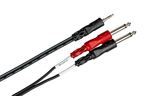 Hosa CMP-153 3.5 mm TRS to Dual 1/4" TS Stereo Breakout Cable, 3 Feet, Laptop