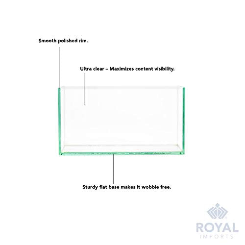 Royal Imports Flower Glass Vase Decorative Centerpiece for Home or Wedding Oblong Rectangle Shape (8", Clear)