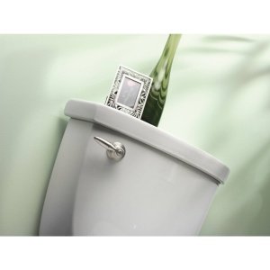 Moen Kingsley Brushed Nickel 3.3" Brass Decorative Toilet Tank Flush Lever, YB5401BN