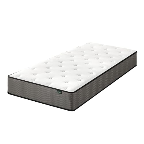 ZINUS 12 Inch True Support Hybrid Mattress [New Version], Queen, Fiberglass Free, Medium Feel, Motion Isolation, Certified Safe Foams & Fabric, Mattress in A Box