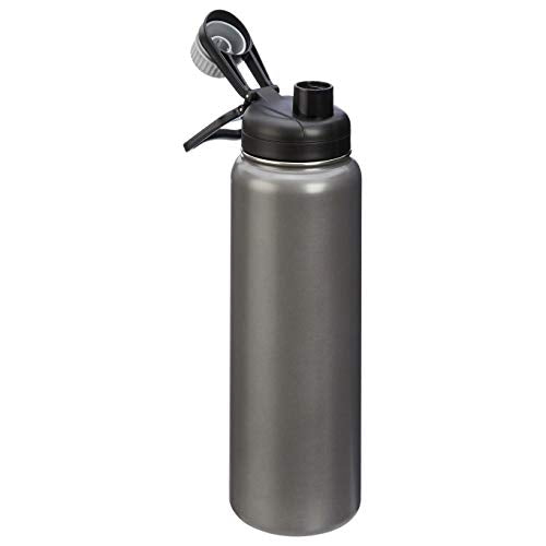 Amazon Basics Stainless Steel Insulated Water Bottle With Spout Lid, 30 ounce, Large Size, Gray