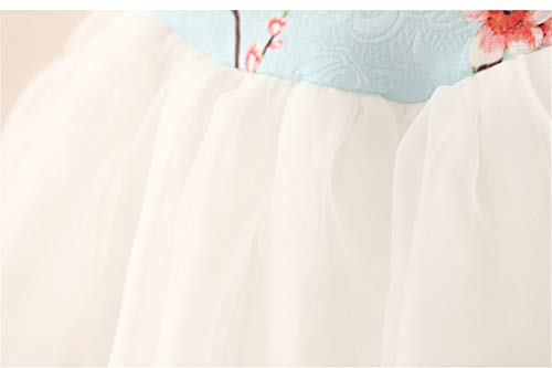 LittleSpring Little Girls Tutu Dress Embroidery Short Sleeve Size 6 Light Blue