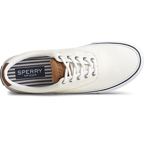 Sperry Striper II CVO Canvas Sw White 8.5 M (D)