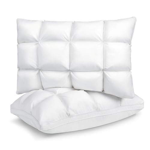 HEYCUZI Bed Pillows Queen Size Set of 2 - Luxury Hotel Soft Cloudy Comfort Pillows for Sleeping, Cooling Premium Down Alternative Pillow for Side, Stomach or Back Sleeper, Dual-Sided Versatile