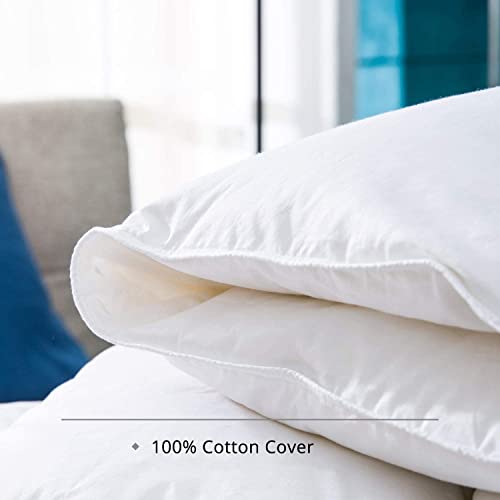 Globon Goose Down Comforter Queen Size All Season Down Duvet Insert,400 Thread Count Ultra Soft Noiseless Shell,800 Fill Power with Corner Tabs,White