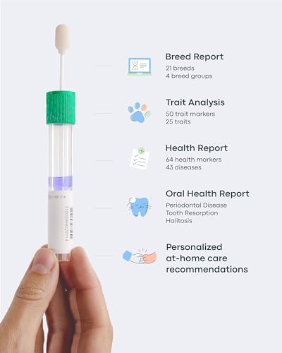 Basepaws Cat DNA Test Kit - Comprehensive Breed, Health and Dental Analysis Across 114 Traits for Accurate and Easy-to-Use Genetic Insights