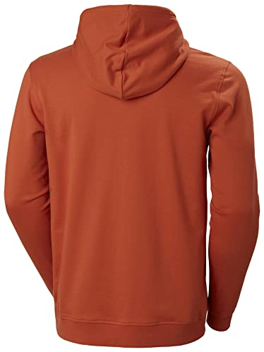 Helly-Hansen Men's Nord Graphic Pull Over Hoodie, 787 Lynx