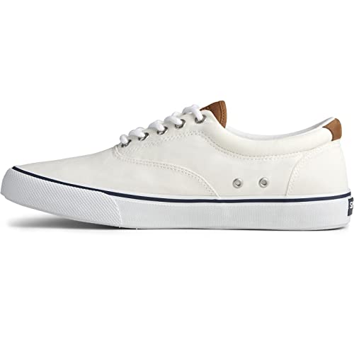 Sperry Striper II CVO Canvas Sw White 8.5 M (D)