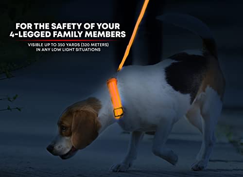 LED Dog Collar, USB Rechargeable, XX-Small (XXS) - 8.6'' - 11.4'', Bright Orange