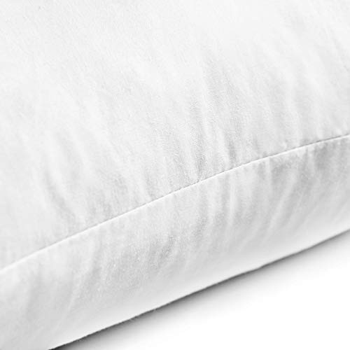 Yesterdayhome Set of 2-16x16 Throw Pillow Inserts-Down Feather Pillow Inserts-White