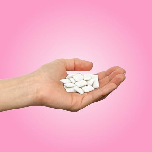 PUR Gum | Aspartame Free Chewing Gum | 100% Xylitol | Natural Bubblegum Flavored Gum, 9 Pieces (Pack of 12)