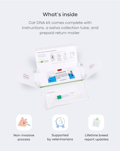 Basepaws Cat DNA Test Kit - Comprehensive Breed, Health and Dental Analysis Across 114 Traits for Accurate and Easy-to-Use Genetic Insights