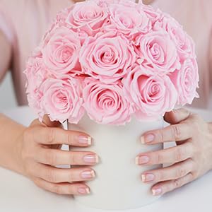 Perfect Formula Nail Collection - The Perfect Keratin Nail Treatment Manicure - A "Suit of Armor for Your Nails" - 4 pieces.