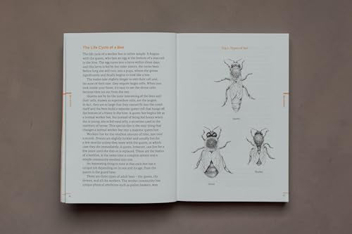 Do Beekeeping: The secret to happy honeybees (Do Books, 11)