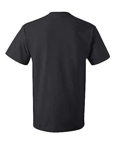 Fruit of the Loom Men's Lightweight Cotton Tees (Short & Long Sleeve), V-Neck-4 Pack-Black, XX-Large