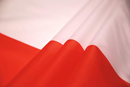 High Supply 3x5 Chile Flag with Two Brass Grommets, 100% Polyester Fabric, and Double Stitched Edges Chilean Flag 3x5 Flag of Chile