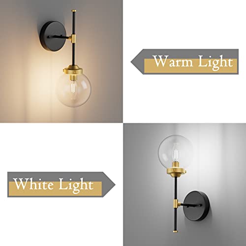 Ralbay Black Gold Wall Sconce Indoor Industrial Globe Wall Light Fixture Clear Glass Globe Wall Lamp for Bathroom Kitchen Living Room Vanity Hallway (Exclude Bulb