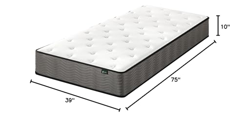 ZINUS 12 Inch True Support Hybrid Mattress [New Version], Queen, Fiberglass Free, Medium Feel, Motion Isolation, Certified Safe Foams & Fabric, Mattress in A Box