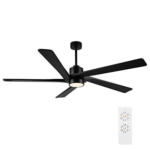 WINGBO 54" DC Ceiling Fan with Lights, 5 Carved Solid Wood Blades, 6-Speed Reversible DC Motor, Matte Black Finish Ceiling Fan with Remote, Black