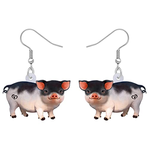 LONYOO Acrylic Pink Pig Earrings Dangle Cute Pig Jewelry for Women Pig Gifts (Pink 440)