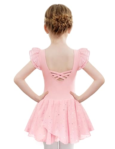 Zaclotre Pink Leotards for Girls Twinkle Sequins Dance Dresses Flow Skirt Hem Ballerina Leotard 3-4T