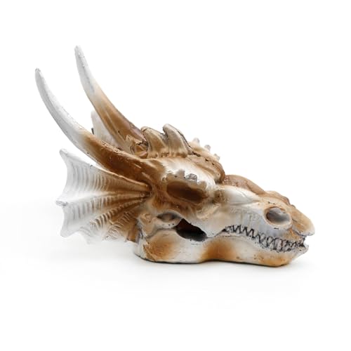 DUZFOREI Reptile Hideouts Terrarium Decor, Aquarium and Fish Tank Decorations Fish Tank Accessories Reptiles Hideout Habitat Aquarium Decor (Dragon Imitation Skull Model)