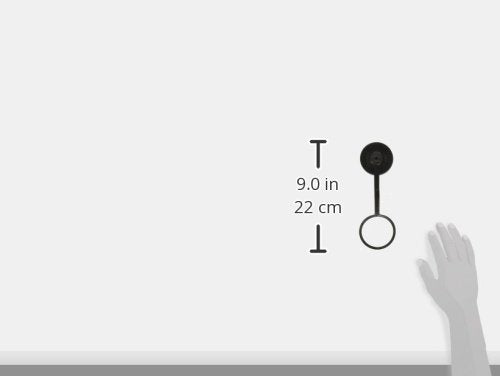 Nalgene Lid Wide Mouth Water Bottle, 1-Pint, Blue