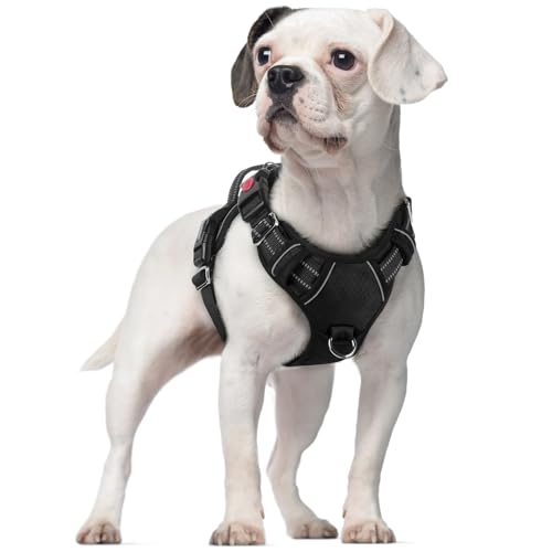 rabbitgoo Dog Harness Small Sized, No Pull Dog Vest Harness with 3 Buckles, Adjustable Soft Padded Pet Harness with Easy Control Handle and Reflective Strips, Black, S