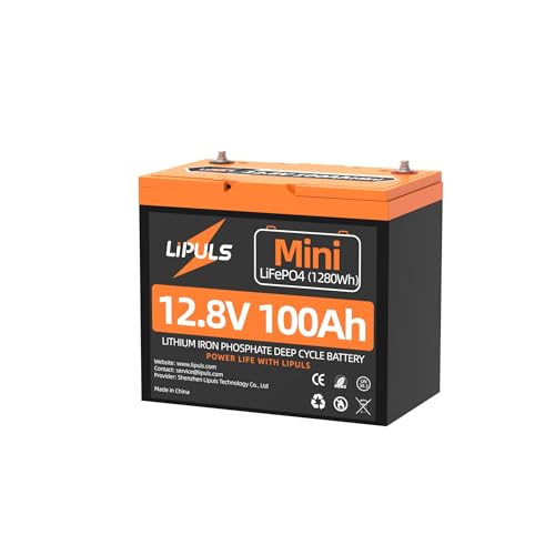 12V 100Ah Mini LiFePO4 Lithium Battery (1 Pack) Built-in 100A BMS and Grade A Cells, UP to 15000 Cycles & 10 Years Lifespan, Perfect for RV, Camping, Trolling Motor, Off-Grid