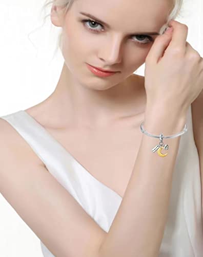 PHCLASY Heart Birthstone Charms 925 Sterling Silver with Cubic Zirconia Dangle Women's Bead Charms fit Bracelets and Necklaces,December