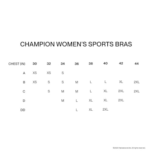 Champion womens Spot Comfort Full Support Sports Bra, Black, 40DD US