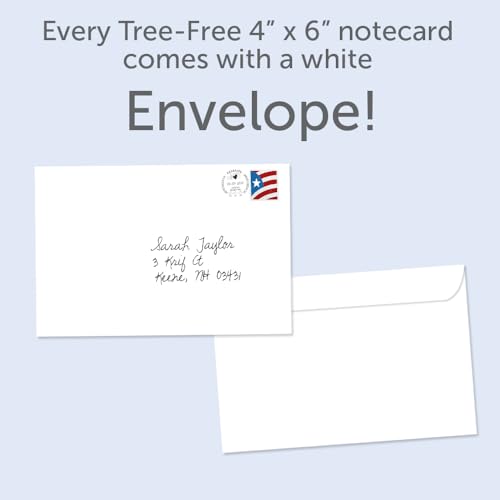 Tree-Free Greetings - Valentine's Day Greeting Cards - Artful Designs - 12 Cards + White Envelopes - Made in USA - 100% Recycled Paper - 4"x6" - Artful Heart (FS68743)