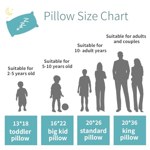 LOFE Organic Pillow with Pillowcase - 13x18 Toddler Pillow with 100% Organic Cotton Shell, Adjustable Loft Organic Toddler Pillow, Machine Washable, Soft, Perfect for Toddlers&Kids&Travel
