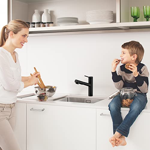 CREA Kitchen Bar faucets,Black Kitchen Sink Faucet Pull Out Sprayer Utility Small Prep Wet Bar Single Handle Hole,Commercial Modern rv Sink Low Arc Faucet Outdoor Laundry