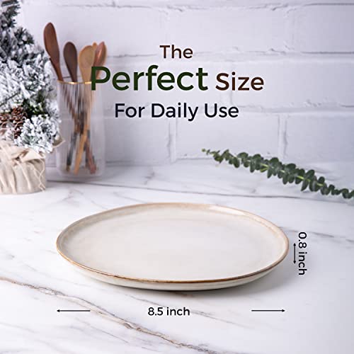 AmorArc Ceramic Plates Set of 6, 8.5 Inch Handmade Reactive Glaze Stoneware Plates set for Dessert, Salad, Appetizer, Small Dinner Plates, Microwave & Dishwasher Safe, Scratch Resistant-Cappuccino