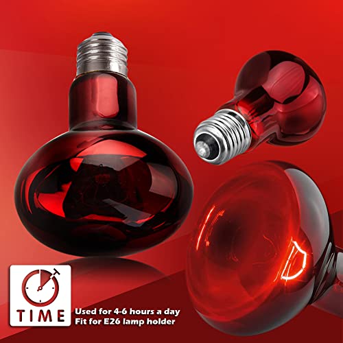 MCLANZOO 2 Pack 50w Reptile Heat Lamp Bulb Infrared Basking Spot Heat Lamp for Reptiles & Bearded Dragon Amphibian, Chicks, Dog Heating Use with Stick-on Digital Temperature Thermometer