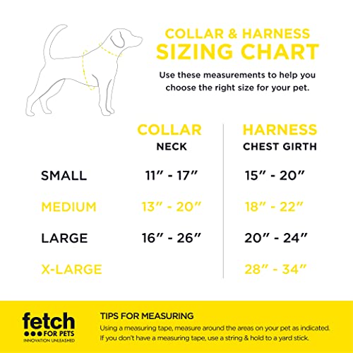 Minions Dog Harness, Small, Blue Minions in a Row | Comfortable Mesh No-Pull Dog Harness| Gifts for Minions Fans and their Pets | Officially Licensed Pet Product from Universal Studios