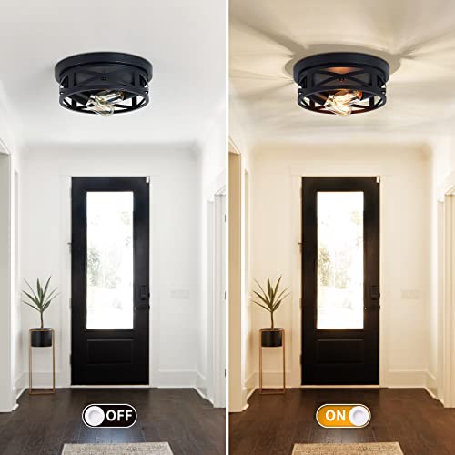 ZHU YAN 2 Pack Flush Mount Ceiling Light,Farmhouse Hallway Lighting Fixtures Ceiling,Industrial Light Fixtures Ceiling Mount for Kitchen,Entryway,Bedroom,E26 Base
