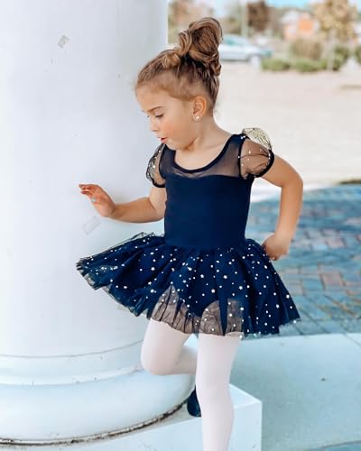 Stelle Puff Sleeve Ballet Leotards for Girls with Sparkly Tutu Skirted Toddler Dance Dress Outfit (Ballet Pink-Puff Sleeve, 2T)