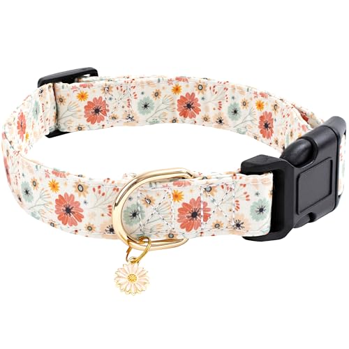 Faygarsle Halloween Fall Dog Collar for Small Medium Large Dogs Fashionable Cute Collar for Male Female Dogs Pink Cotton Dog Collar Spectre Pumpkin Pattern M