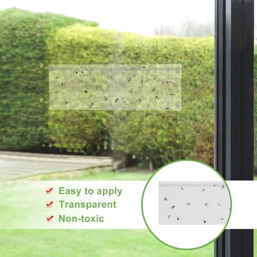 LFSYS 35 XL Pack Window Fly Traps, Fruit Fly Traps for Indoors, Fly Paper Sticky Strips, Fly Traps for Indoors Clear