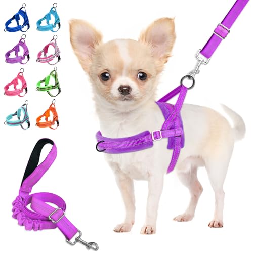 Lukovee No Pull Dog Harness and Leash Set, Soft Padded Small Dog Harness, Neck & Chest Adjustable Reflective Vest Puppy Harness with 4ft Lightweight Anti-Twist Dog Leash for Small Dogs (XXS, Purple)