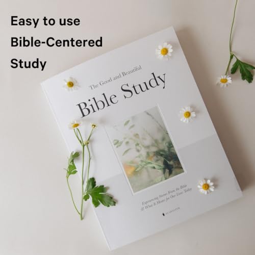 The Good and Beautiful Bible Study: Experiencing Stories From the Bible and What It Means for Our Lives Today