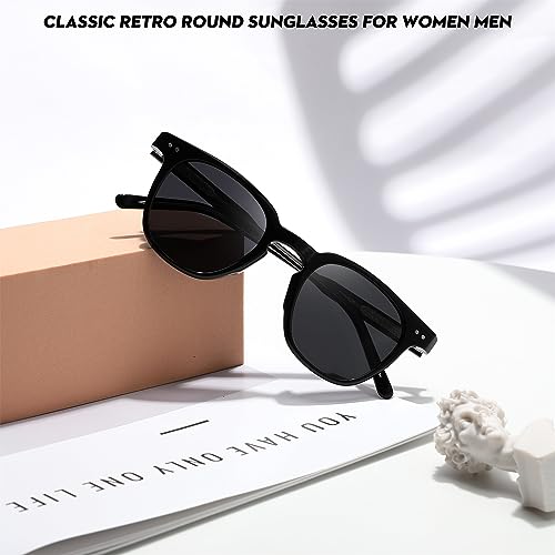 FEISEDY Classic Polarized Sunglasses Retro Round Sunglasses for Women Men Trendy Shades B0002