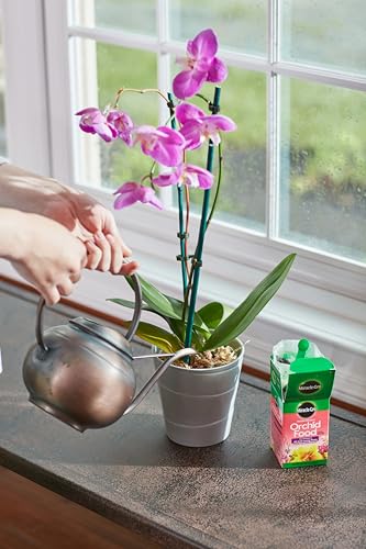 Miracle-Gro Orchid Care Bundle, Includes Potting Mix and Plant Food Mist, For Indoor and Outdoor Container Orchids