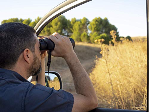 Olympus Binocular 10x50 S - Ideal for Nature Observation, Wildlife, Birdwatching, Sports, Concerts, Black