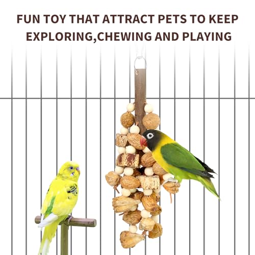 HPAWHOMEPART Large Bird Toys,Chewing Toys for Parrot,Natural Nut Hanging Toys for Parakeet,Lovebirds,Finch,Macaws,Cockatiel