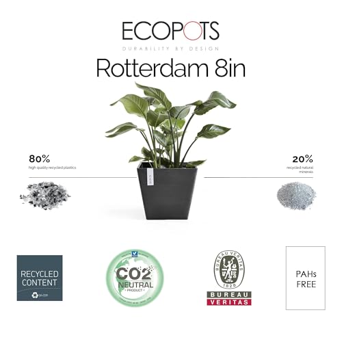 Ecopots Rotterdam Durable Modern Square Indoor/Outdoor Recycled-Based Composite Flower Planter, Dark Grey, 8"