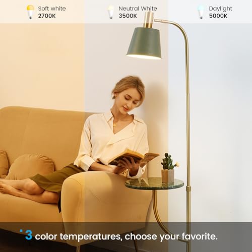 Torkase A19 LED Bulbs 100 Watt Equivalent, 13W 1500 Lumens Very Bright and Energy Saving, Non-Dimmable, 2700K Warm White, Standard E26 Medium Base Bulk Lighting Bulb, 30000 Hour Lifetime(Pack of 4)